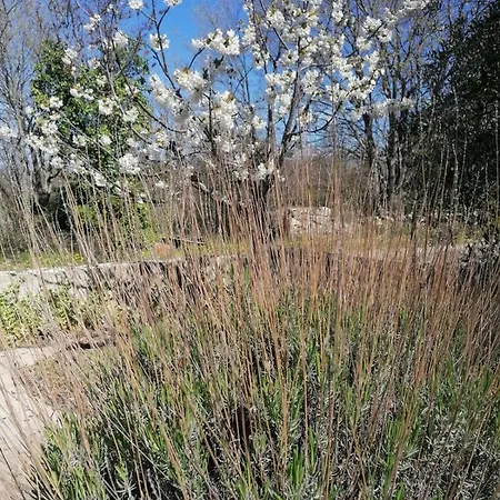 Robinson's House Kruševo