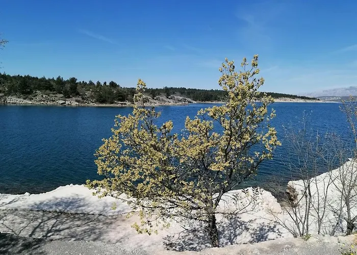 Robinson's House בית נופש Kruševo